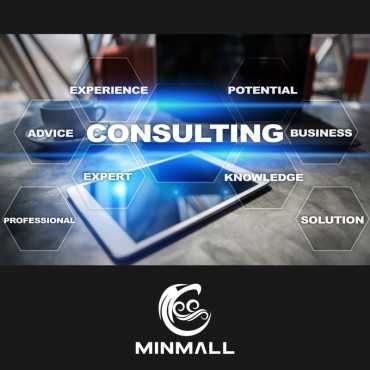 Consultant Services Fee